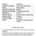 Vino Familia Gabrielli Malbec 2020 - Image 3