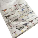 Remera ABC DINOSAURIOS - Unisex